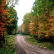autumn driving