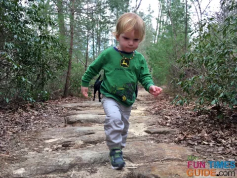 We gave our son time to walk parts of the Benton Falls Trail on his own.