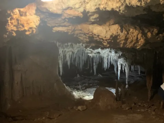 Stalactites hang from the ceiling of these Florida caves. Stalagmites grow upward from the floor of these Marianna Florida caves. 