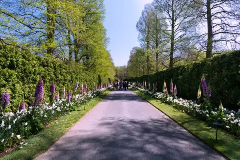 Longwood Gardens in April