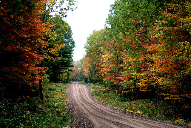 autumn driving