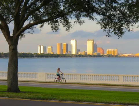 Bayshore Boulevard in Tampa Florida has the longest continuous sidewalk in the world!