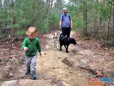 I love the fact that the Benton Falls Trail is dog-friendly, as long as dogs are on a leash.
