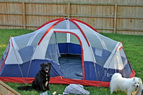 Buying a spacious tent is a great camping tip when your camping with pets and kids