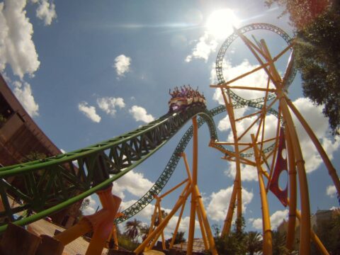 9 Insider Tips For Visiting Busch Gardens Tampa (…From A Local)