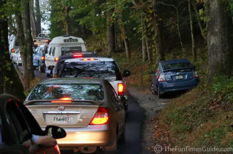 cades_cove_tennessee_traffic