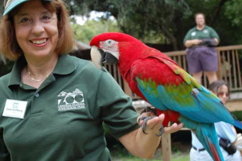 Central Florida Zoo - cheap central florida attractions