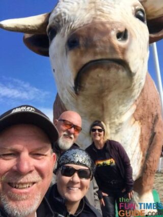 A fun statue of a cow on the side of the road - I love how that cow looks enormous, like it's standing on its hind legs! 