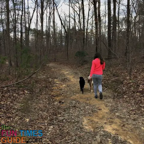 Our dogs go just about everywhere we go... they especially love hiking!