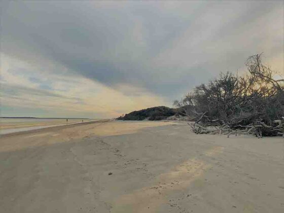 Wondering about the Jekyll Island beach? Driftwood Beach on Jekyll Island is one of the '10 most romantic beaches' in America! photo by Joshua at TheFunTimesGuide.com Wondering about the Jekyll Island beach? Driftwood Beach on Jekyll Island is one of the '10 most romantic beaches' in America!