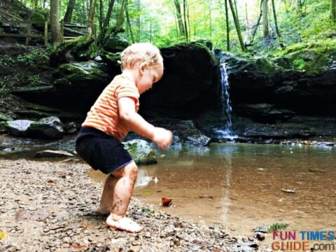 Toddler exploring nature - see the butterfly?