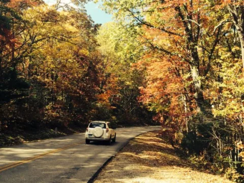 Asheville Blue Ridge Parkway Fall