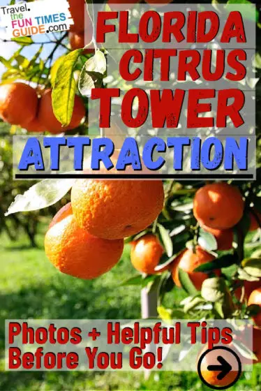 What is the Citrus Tower in Clermont Florida like? Find out here!