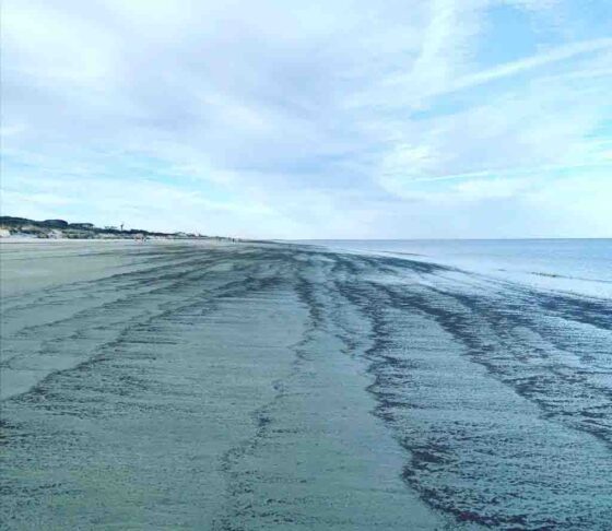 The beaches along Jekyll Island Georgia and Saint Simons Island are just gorgeous! photo by Joshua at TheFunTimesGuide.com The beaches along Jekyll Island Georgia and Saint Simons Island are just gorgeous!