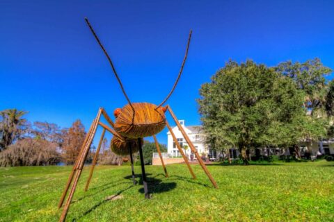 Leu Gardens - one of the more unique things to do in Orlando