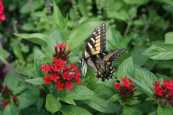 Longwood Gardens - Kennett Square, PA: A Photo Tour Of Longwood ...