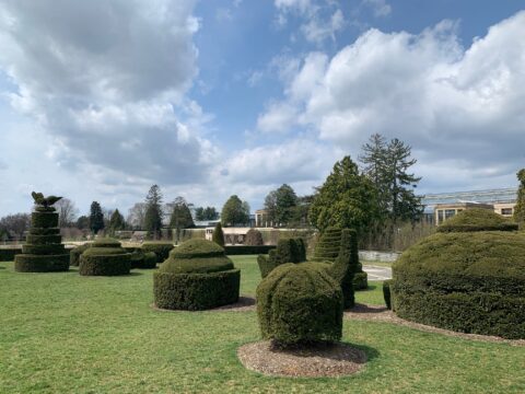 Longwood Gardens topiaries