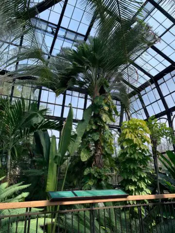 Longwood Gardens palm room