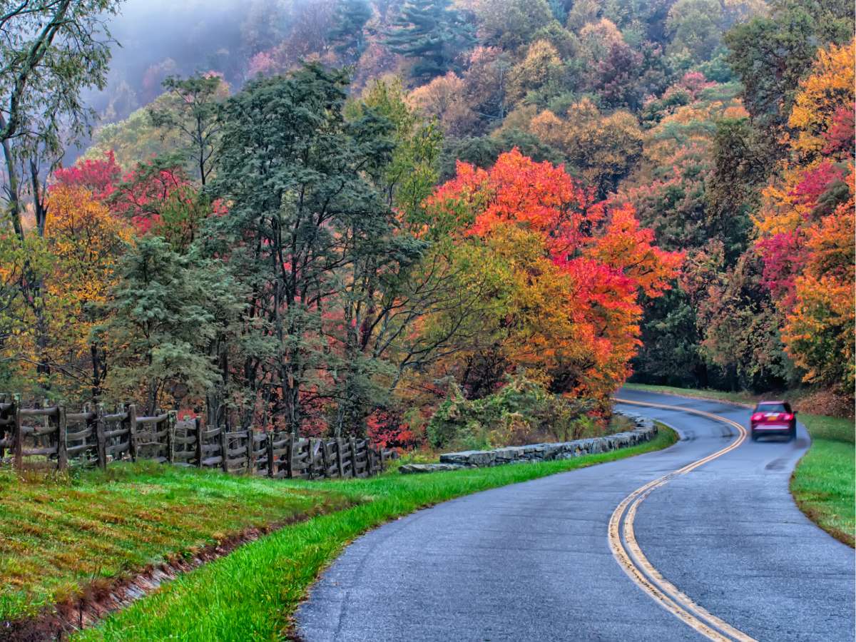 We get ALL the colors in Middle Tennessee! Find out WHEN and WHERE to see the best fall colors in Middle Tennessee. We also help you identify Middle Tennessee trees -- and which ones turn which colors. 