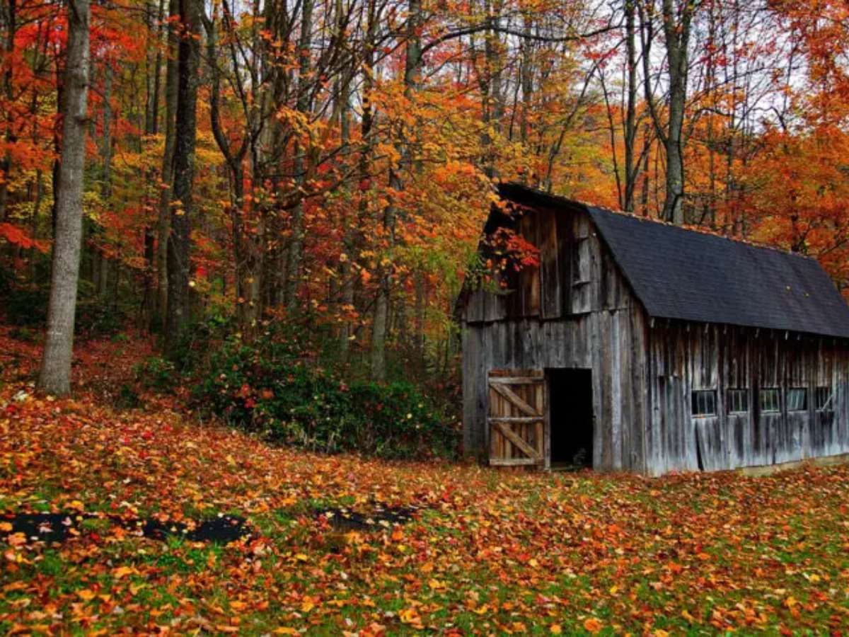 Midwest fall colors.