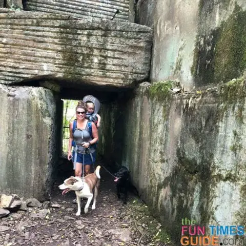 Hiking with baby and dogs is a great way to exercise and relieve stress!