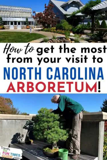 How to get the most from your visit to the North Carolina Arboretum