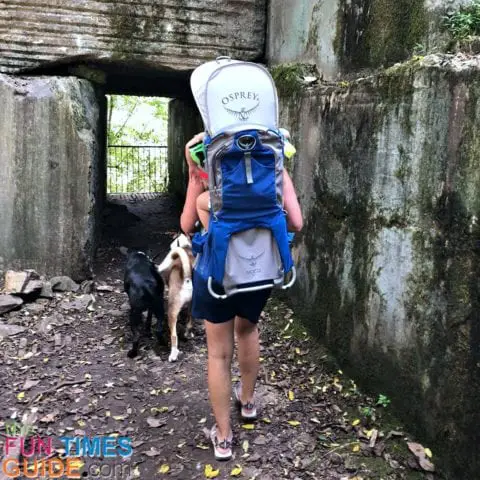 These days, when hiking with baby, I use the the Osprey Poco AG plus child carrier.