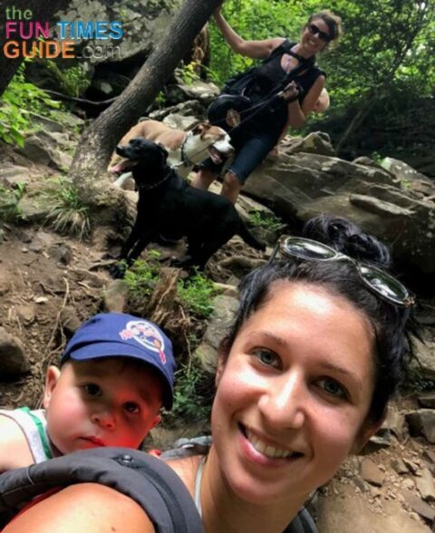 ozone-falls-hiking-trail-rated-moderate