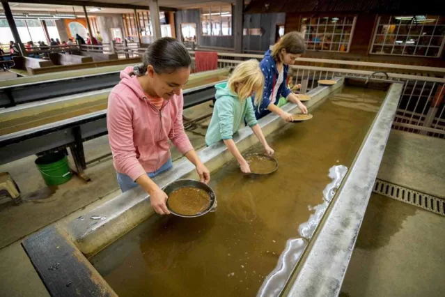 Panning for gold in Dahlonega, Georgia