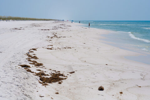 Pensacola Beach