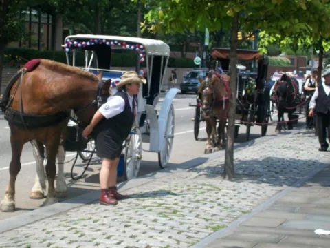 Visit Philadelphia Horse & Carriage Ride