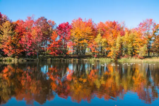 12 States (NOT In New England) With Unique Places To See Colorful Fall ...