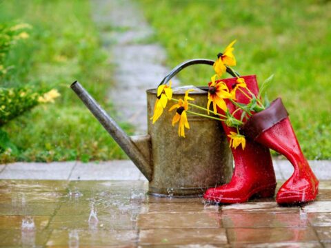 spring-weather-predicts-fall-weather The Spring weather in any given area will ultimately impact how vibrant the fall colors will be there.