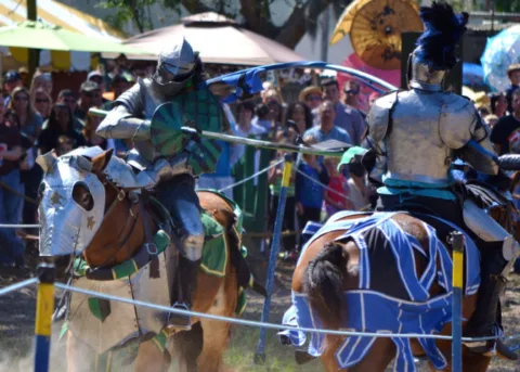 If you're looking for fun things to do in Tampa there is a cool renaissance festival also