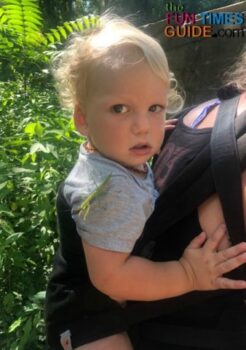 The Ergobaby 360 is a great baby carrier - just not for hiking.