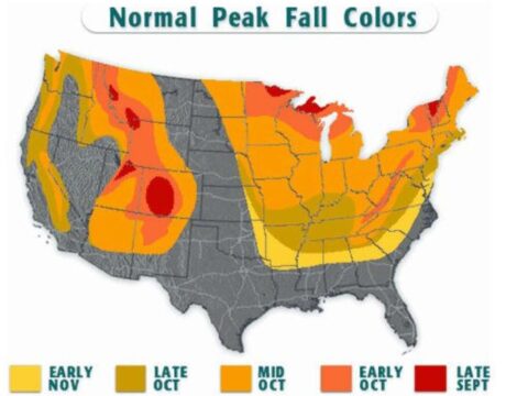 Mdr Fall Color Map The 5 Best Fall Foliage Maps to Track Peak Color (2025) | Travel Hacks ...