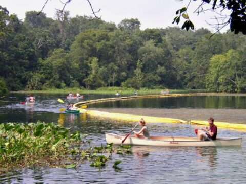 wekiwa springs - one of the more laid back central florida attractions