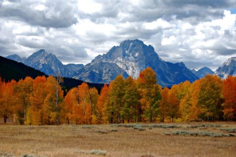 yellowstone autumn colors